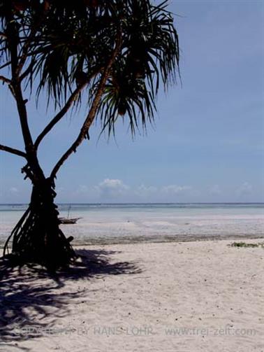 Hotel Dreams of Zanzibar, Hotelstrand, DSC05898b